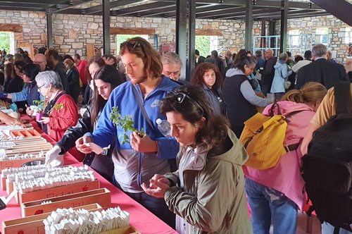Πελίτι: Χιλιάδες επισκέπτες και φέτος στη Γιορτή Σπόρων που στοχεύει στη διατήρηση της βιοποικιλότητας και αποτίει σεβασμό στη Γη