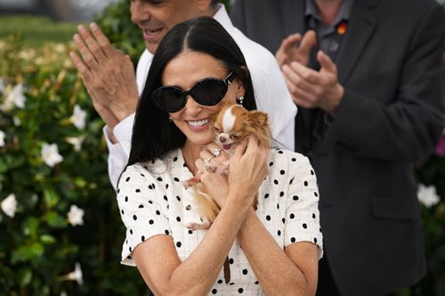 VIP Dogs: Αν νομίζετε ότι τα nepo babies ήταν τα χειρότερα κακομαθημένα, ξανασκεφτείτε το- υπάρχουν τα σκυλάκια των διάσημων και πλούσιων