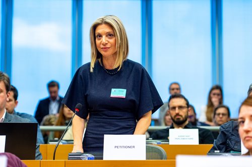 Η Μ. Καρυστιανού στο Ευρωκοινοβούλιο: 