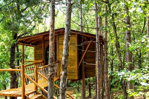 Τα δεντρόσπιτα της Χαλκιδικής ανοίγουν ένα νέο είδος τουρισμού