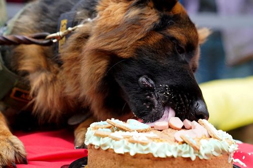 Μεξικό: Τα πρώτα γενέθλια του Αρκάδα