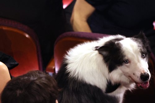 Όσκαρ 2024: Ο καλύτερος ηθοποιός του 2023 ήταν ξεκάθαρα ο Μέσσι και δικαίως προσκλήθηκε στα Oscar