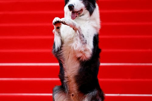 Φεστιβάλ Καννών 2024: Παιδιά έφτασε και ο Μέσι!