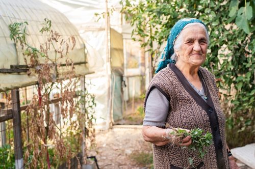 Μέσω συσκευής θα μπορούν να επικοινωνούν ηλικιωμένοι που ζουν σε απομακρυσμένες περιοχές της Κεντρικής Μακεδονίας