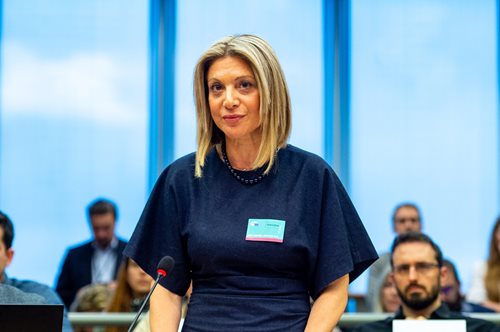 Καρυστιανού κατά Γεωργιάδη: 