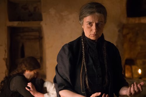 Καρυοφυλλιά Καραμπέτη: 