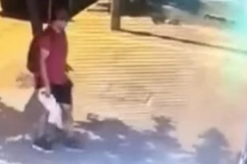 Δίωξη για φόνο ζώου στον διδάκτορα ΑΠΘ που ποδοπάτησε γατάκι