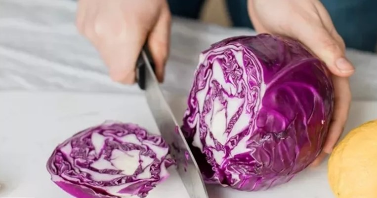 μεταβολισμος