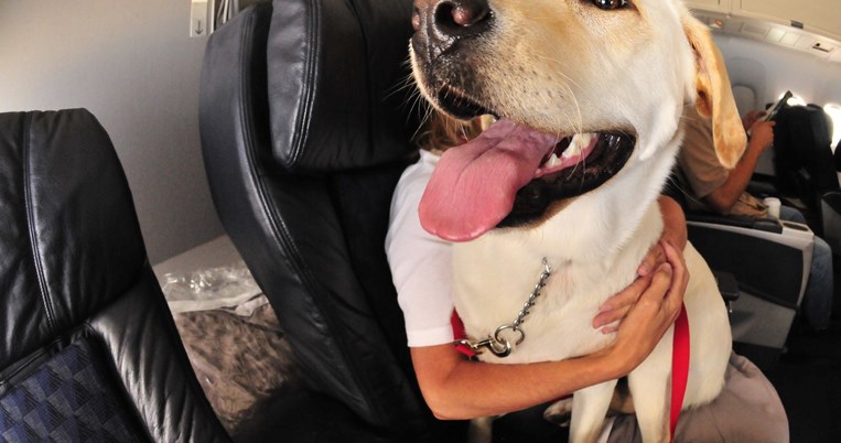 μενου_σκυλου