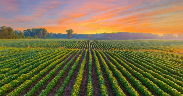 φυτικα προιοντα