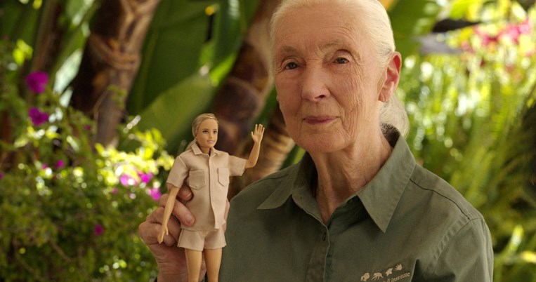 Jane Goodall, Τζέιν Γκούνταλ