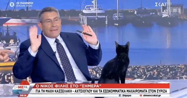 γάτα στον σκάι