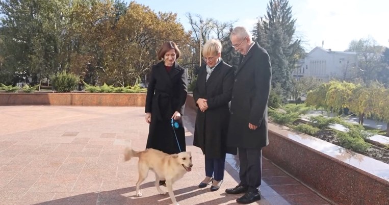 Μολδαβή Πρόεδρος, σκυλάκος