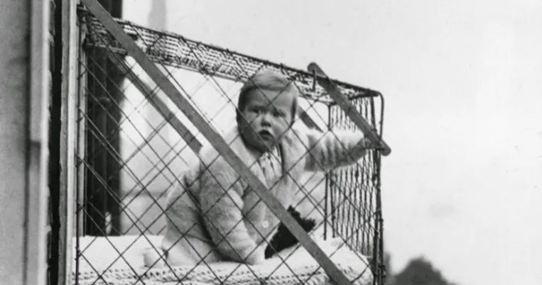 baby cage