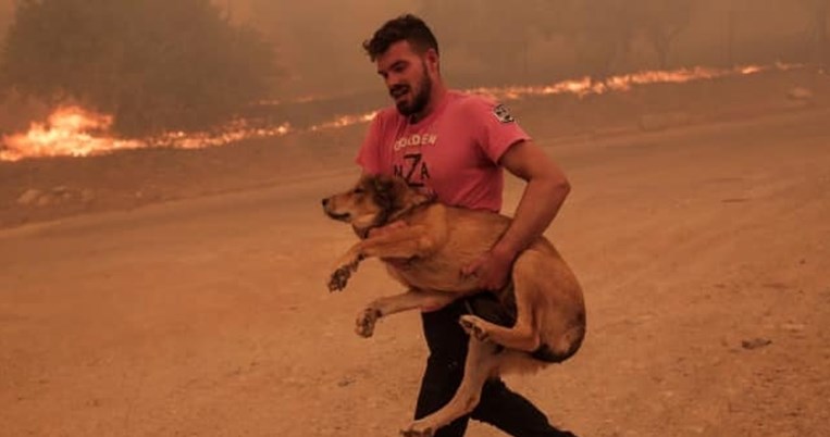 Λεωνίδας Ρόδης