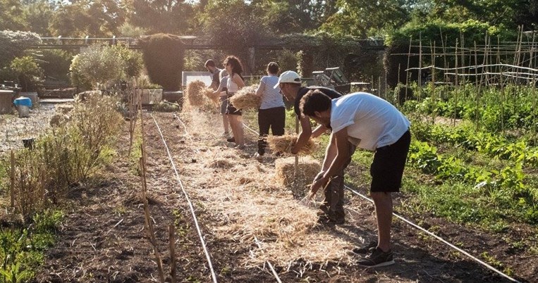 πάρκα τσέπης