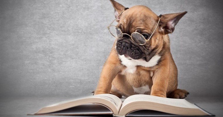 Πως να μάθω ορθογραφία; Πρακτικοί και έξυπνοι τρόποι με παραδείγματα για τα παιδιά και τους γονείς 