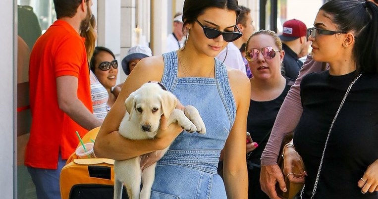 H Κένταλ Τζένερ κράτησε εκ νέου την πιο παλιομοδίτικη τσάντα και μας έκανε να την δούμε με άλλο μάτι