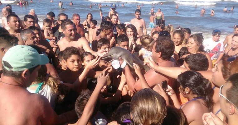 Ένα μωρό δελφίνι πέθανε, γιατί οι τουρίστες ήθελαν να βγάλουν σέλφι μαζί του