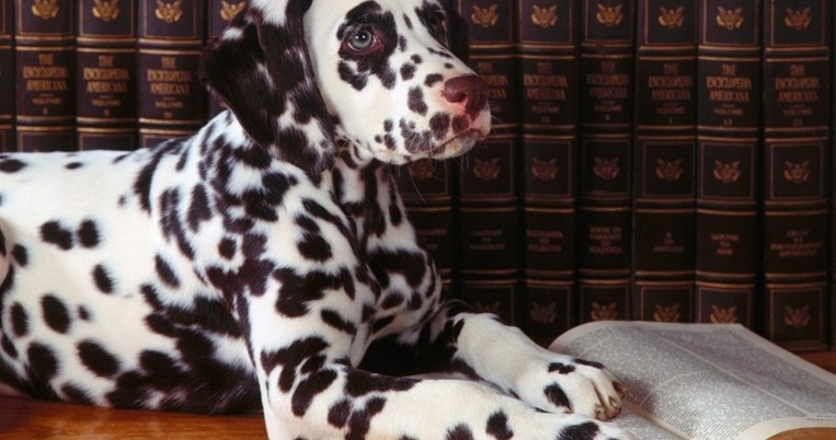 Συνηθισµένα, καθημερινά λάθη στην Ελληνική γλώσσα που κατάντησαν να θεωρούνται σωστά