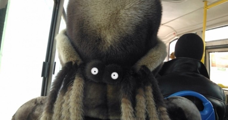 18 φωτογραφίες που θα σας μπερδέψουν