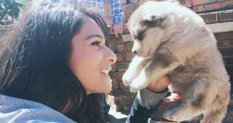 Φανταστικά νέα για τους τετράποδους φίλους: Μόνο ζώα από καταφύγια θα πωλούνται στα pet shops 