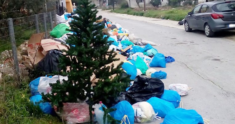 Να τι πρωτοποριακό θα κάνουν στην Θεσσαλονίκη με τα άχρηστα χριστουγεννιάτικα δέντρα