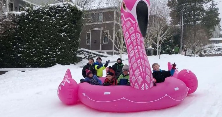 Τα έλκηθρα είναι παλιά. Το 2019 τα παιδιά τσουλούν στο χιόνι μέσα σε γιγάντια φλαμίνγκο