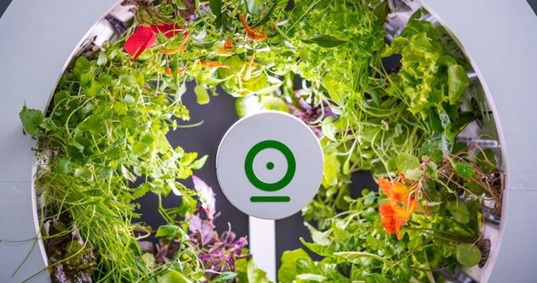 Καταργεί τα ψώνια. Η επαναστατική συσκευή που καλλιεργεί στην κουζίνα σου 90 φρούτα και λαχανικά