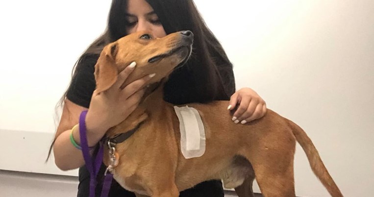 «Μην αφήνετε τους φονιάδες ατιμώρητους»: Η δημοσιογράφος Σταματίνα Σταματάκου ζητάει βοήθεια