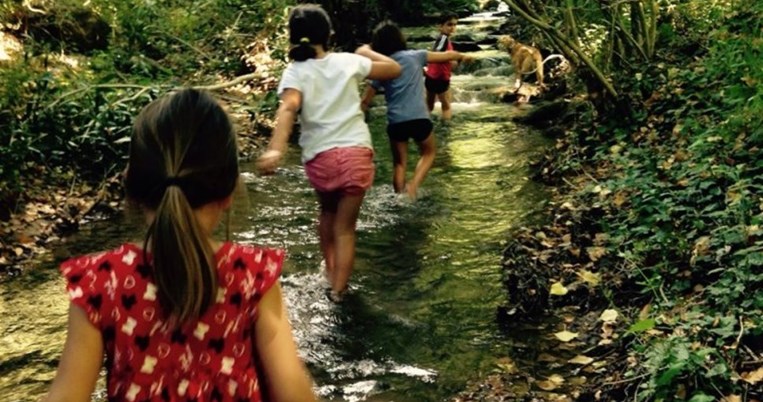 Εκπαίδευση στη φύση: Τα Σαββατοκύριακα μαθητές δημοτικού στη Λέσβο πάνε στο Σχολείο του Δάσους