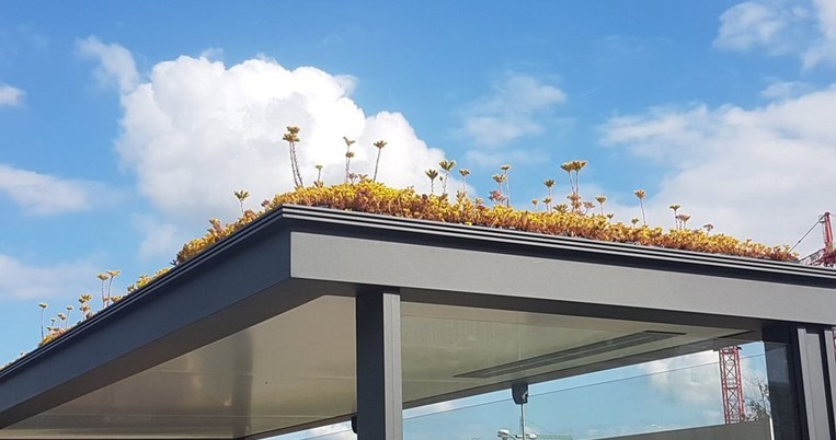 Η Ολλανδία μετατρέπει 300 στάσεις λεωφορείων σε πράσινα οικοσυστήματα για να προσελκύσουν μέλισσες