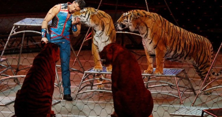 Μία πολύ σημαντική απόφαση: Η Καλιφόρνια απαγορεύει δια νόμου τα άγρια ζώα σε τσίρκο
