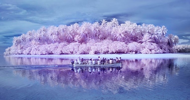 Στο νησί της αχρωματοψίας η ζούγκλα είναι ροζ αλλά κρύβει ένα σκοτεινό μυστικό 