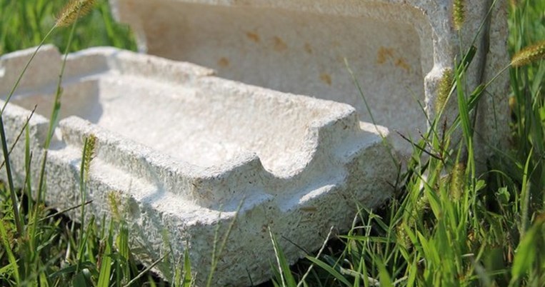 Τo Ikea σκoπεύει να αντικαταστήσει τις συσκευασίες του με καινοτόμες, βιοδιασπώμενες, από μανιτάρια