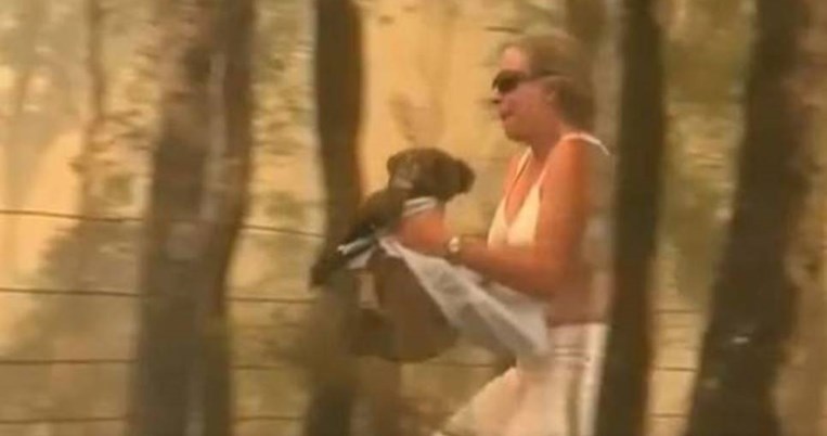 Το συγκλονιστικό βίντεο μίας γυναίκας που ορμάει στις φλόγες και σώζει κοάλα που καίγεται