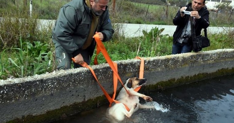 Τέλος καλό όλα καλά: Η διάσωση ενός σκύλου στην Αργολίδα συγκίνησε τους πάντες