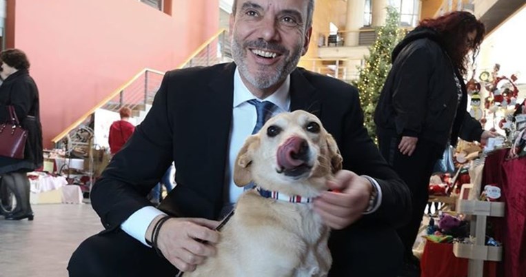 Βρέθηκε σε λίμνη αίματος: Η συγκλονιστική ιστορία της Διώνης, μιας σκυλίτσας-ζωντανό θαύμα φιλοζωίας