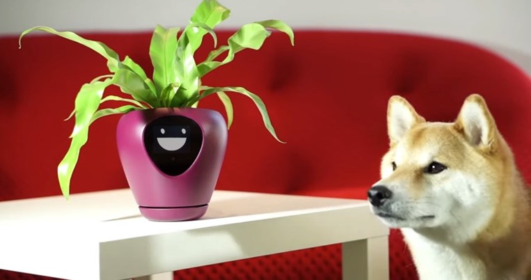 Διαβάζει τα συναισθήματα, επικοινωνεί μαζί σου: Η έξυπνη γλάστρα μετατρέπει τα φυτά σε κατοικίδια
