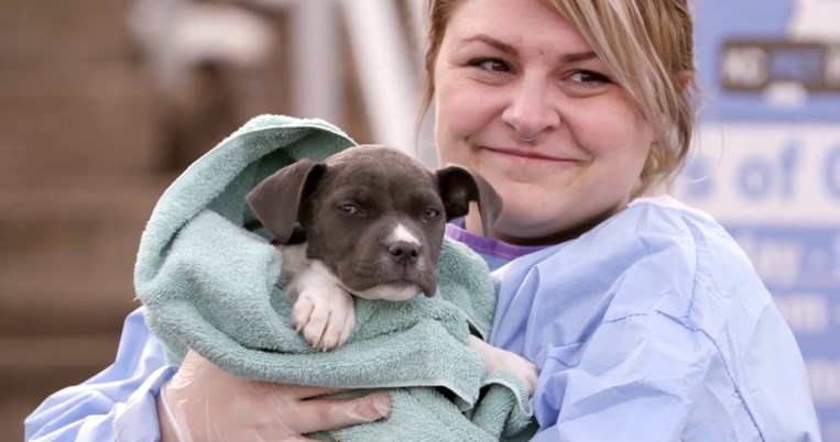 Αφανής ηρωίδα: Μια γυναίκα κατέβασε τα ποσοστά θανάτωσης σε καταφύγιο ζώων από το 100% στο 0%