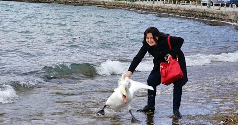 Βασάνισε μέχρι θανάτου κύκνο για να βγει τουριστο-seflie 