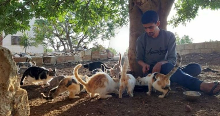 «Κάνουν τους βομβαρδισμούς πιο υποφερτούς»: Η πόλη της Συρίας με περισσότερες γάτες παρά ανθρώπους