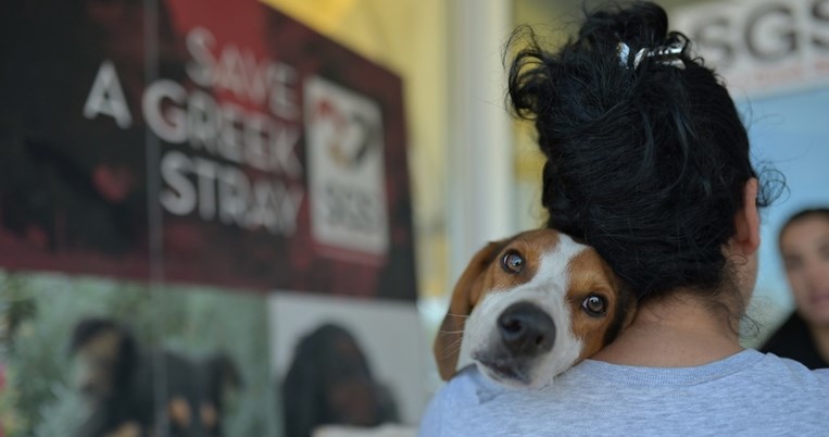 164 αδέσποτα στειρώθηκαν, 2.448 μαθητές εκπαιδεύτηκαν: Ένας άθλος φιλοζωίας στην Τρίπολη