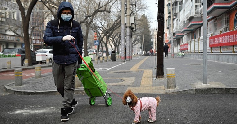Όταν η πόλη Γιούχαν ερήμωσε λόγω του κορωναϊού, ένας άντρας έμεινε πίσω και φροντίζει τα κατοικίδια
