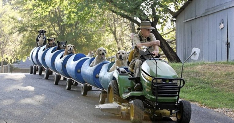 O 80χρονος άνδρας που έφτιαξε τραίνο για να βγάζει βόλτα τα αδέσποτα σκυλιά που σώζει
