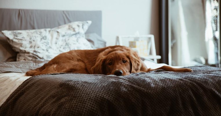 Τώρα που #Μένουμε_Μέσα θέλω έξτρα προστασία από τα μικρόβια στο σπίτι. Και βρήκα τον τρόπο