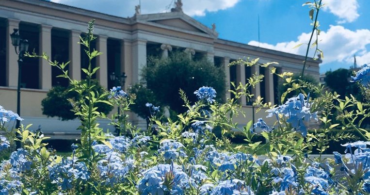Η άνοιξη ήρθε στην Αθήνα: 8.500 νέα λουλούδια και φυτά στην πόλη από τις αρχές Μαρτίου