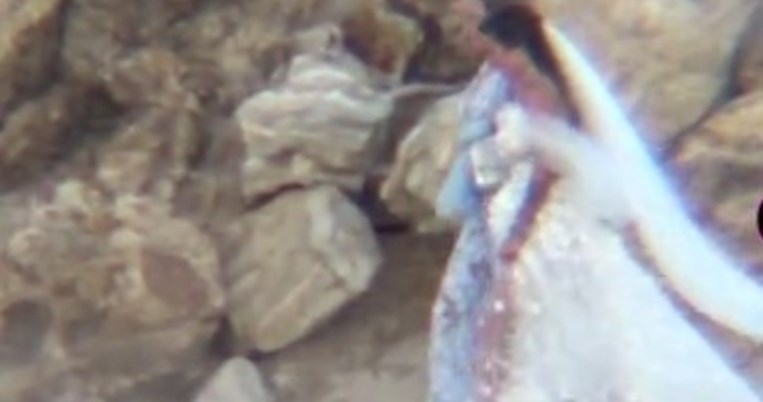 Ο λαμπερός, μυστικός γάμος της Εριέττας Κούρκουλου: Το παπαρατσικό βίντεο του Mykonos Live TV 