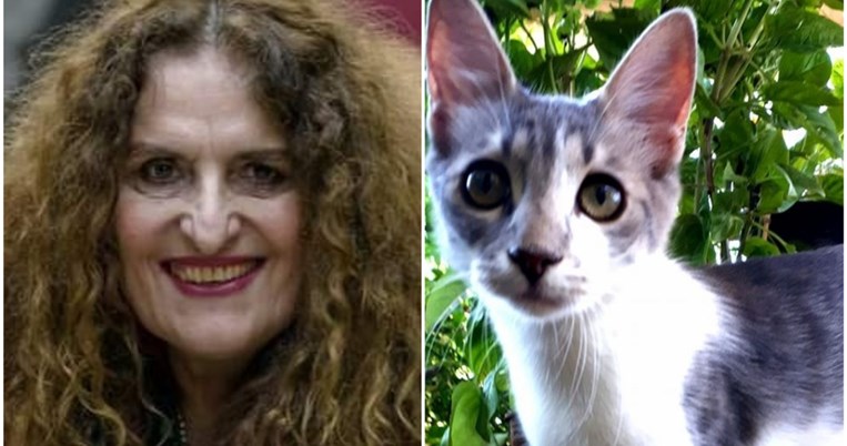 «Καλημέρα σας, το όνομα μου είναι Γκράου. Είμαι η αδελφή της άλλης, της όμορφης της Κανέλλας»