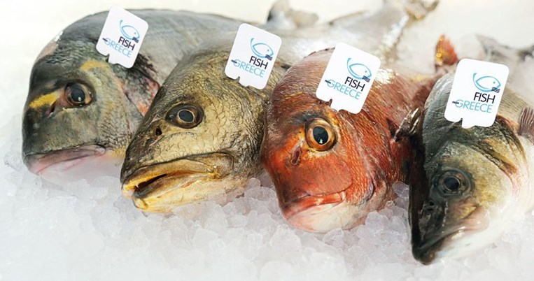Όσα δεν ξέρατε για το πώς και πού μεγαλώνουν τα ψάρια ιχθυοκαλλιέργειας 
